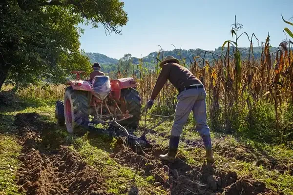 El impacto del cambio climático en la agricultura familiar